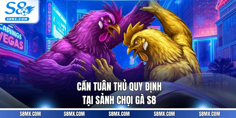 Cần tuân thủ quy định tại sảnh chọi gà S8