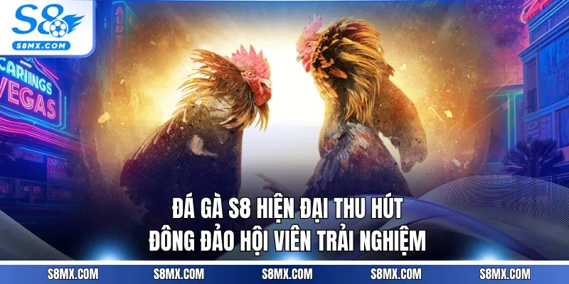 Đá gà S8 hiện đại thu hút đông đảo hội viên trải nghiệm