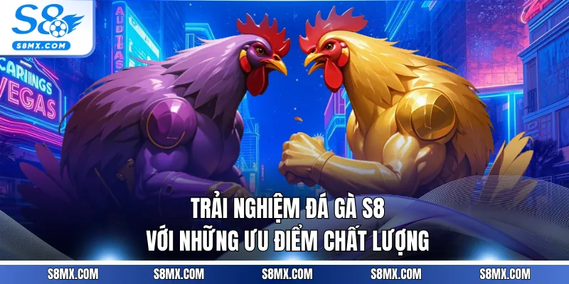 Trải nghiệm đá gà S8 với những ưu điểm chất lượng